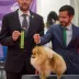 Champion pomeranian Female Tauro Kennel