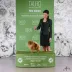 Champion pomeranian Female Tauro Kennel