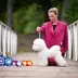 Champion Bichon Frise male Tauro Kennel stud
