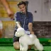 Champion Bichon Frise male Tauro Kennel stud