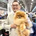 Champion pomeranian male Tauro Kennel