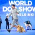 3 times world winner pomeranian Tauro Kennel