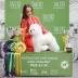 Champion Bichon Frise male Tauro Kennel