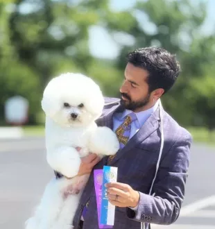 European winner 2026 Bichon Frise Tauro Kennel