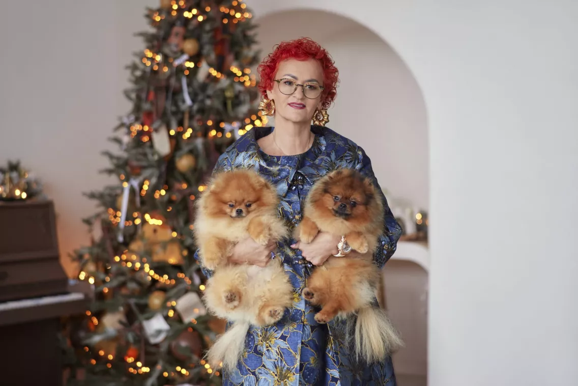 Champion Bichon Frise at Tauro Kennel — show-quality breeding from Lithuania