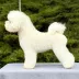 Champion Bichon Frise female Tauro Kennel World junior winner 2026