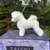 Tauro Kennel Bichon Frise — show-quality breeding