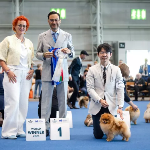 World winner 2025 pomeranian Tauro Kennel