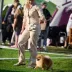 Champion pomeranian Female Tauro Kennel 