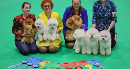 tauro kennel team at dog show