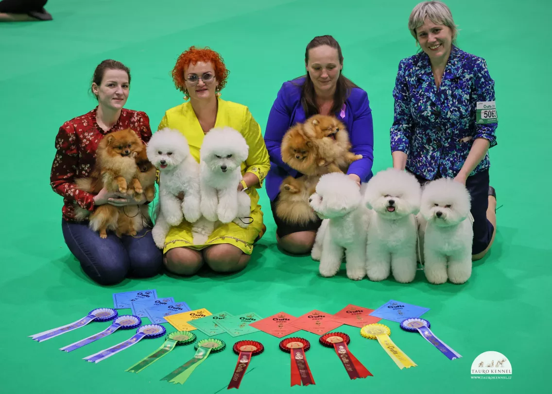 tauro kennel team at dog show