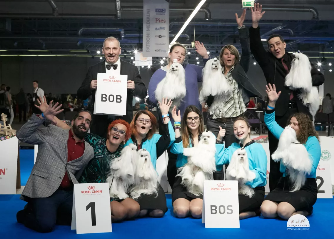 tauro kennel team European dog show 2018