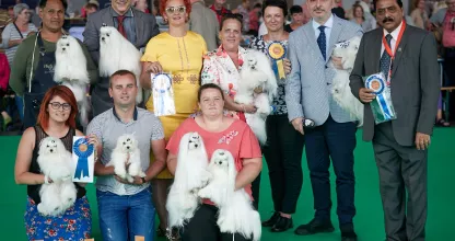 tauro kennel team at world dog show 2018