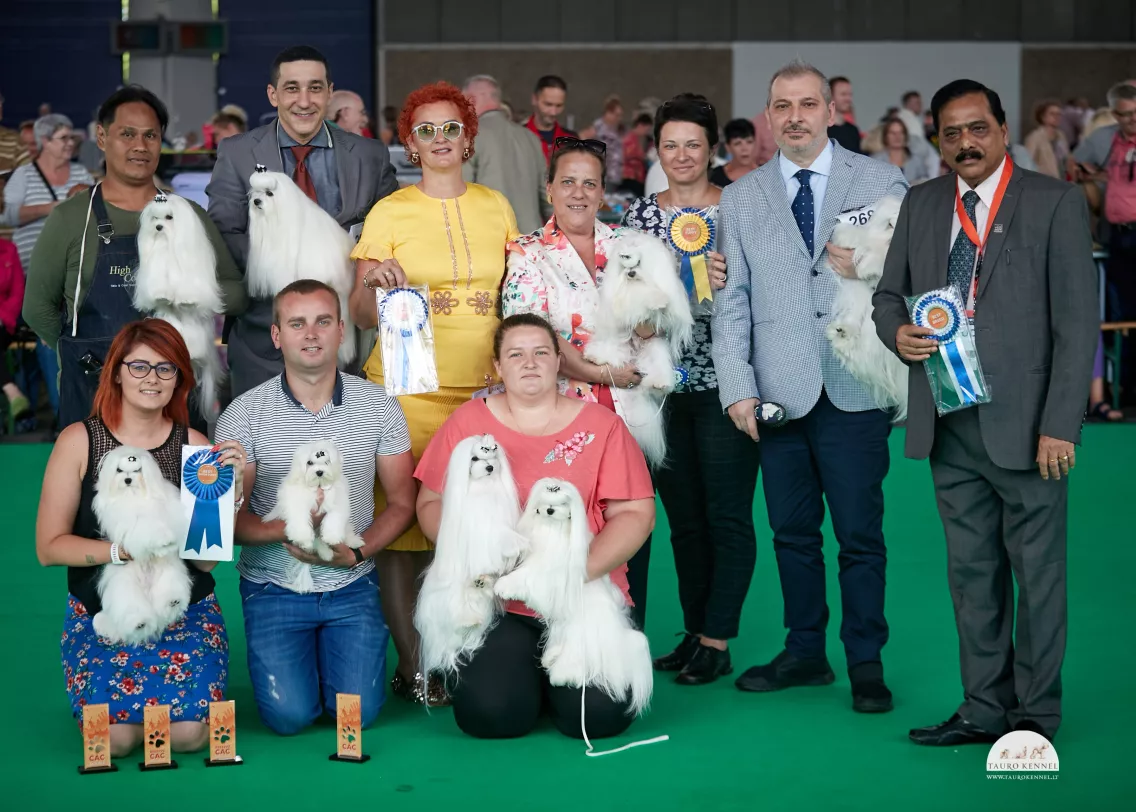 tauro kennel team at world dog show 2018